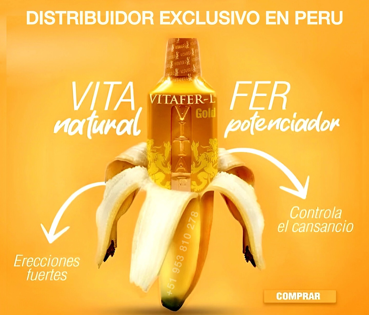 VITAFER GOLD